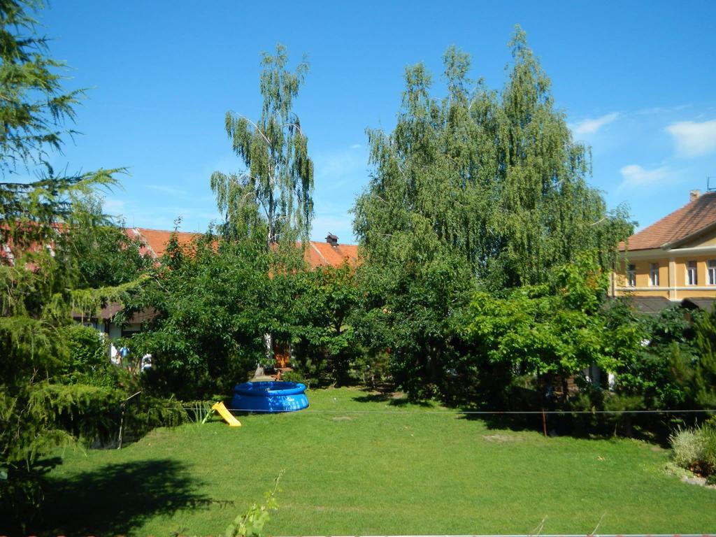 Rybarska Basta Vikletice - Apartmany A Bungalovy - Nechranicka Prehrada Exterior photo